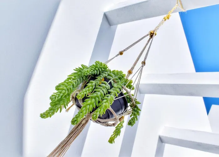 Oda ve Kahvaltı Mana Ecoretreat Las Breñas