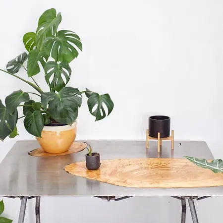 住宿加早餐酒店 Mana Ecoretreat 5*