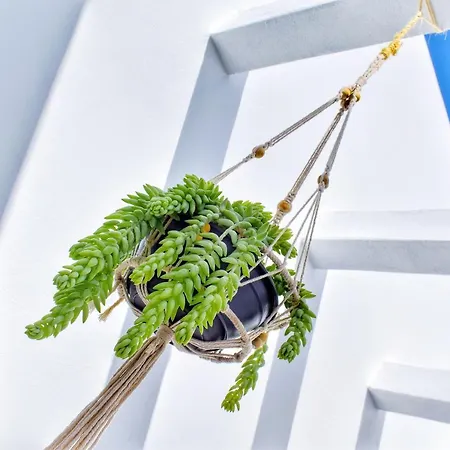 Bed and breakfast Mana Ecoretreat Las Breñas