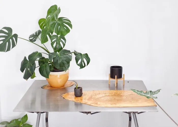 Bed and Breakfast Mana Ecoretreat 5*